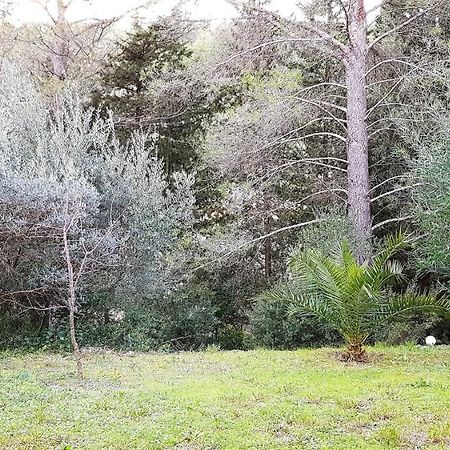 O Zen Suite Sanary-sur-Mer Bagian luar foto